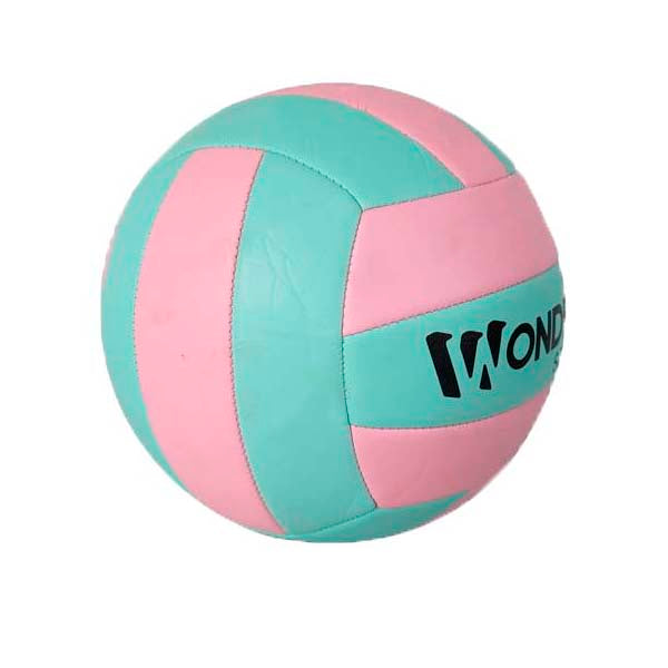 Balón Para Voleibol